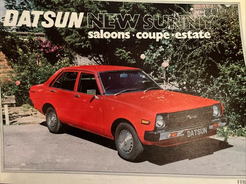 The datsun sunny coupe - the, estate