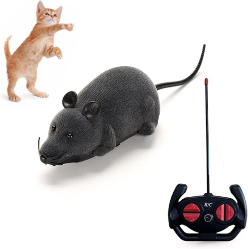 Remote control rat mouse cat - control,
