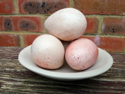 Marble eggs pedestal - eggs,