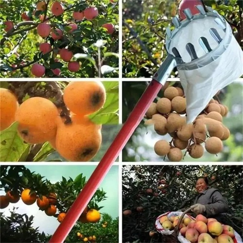 Farm metal fruit picker - farm,