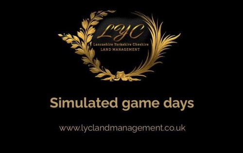 Clay pigeon simulated game - pigeon,