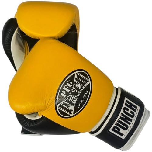 Boxing training sparring kick - boxing,