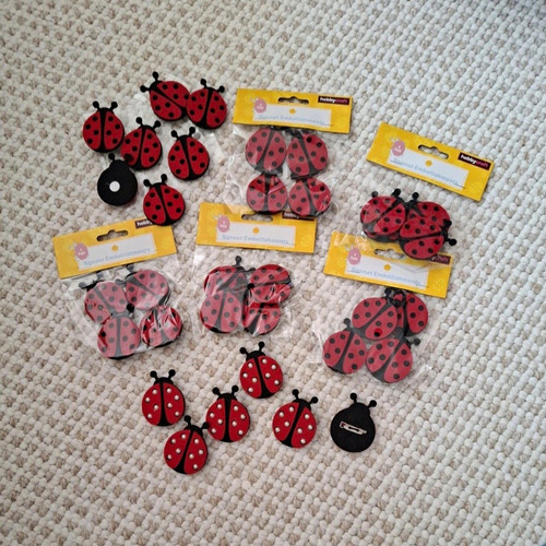 Hobbycraft ladybird brooch - ladybird, pin