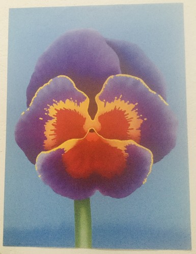 Adrian george big pansy - george,