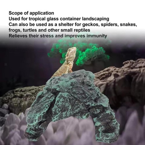 Turtle reptile basking - reptile,