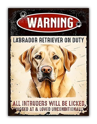 Labrador duty metal warning - on,