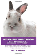Netherland Dwarf Rabbits