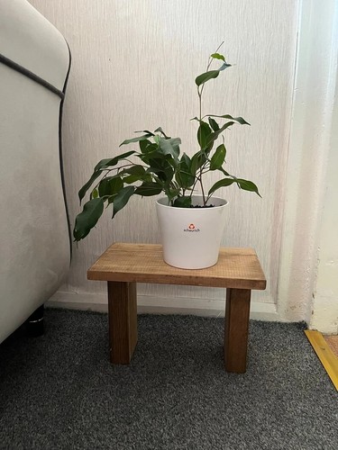 Wooden plant stand - stand, balcony