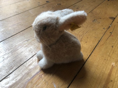 Vintage steiff rabbit pa55 - vintage,