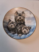 Banbury Mint Yorkshire Pride