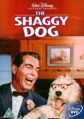 The shaggy dog - dog, dvd