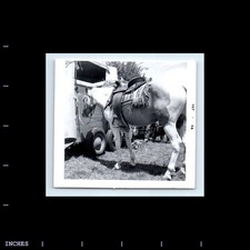 Vintage Square Photo HORSE