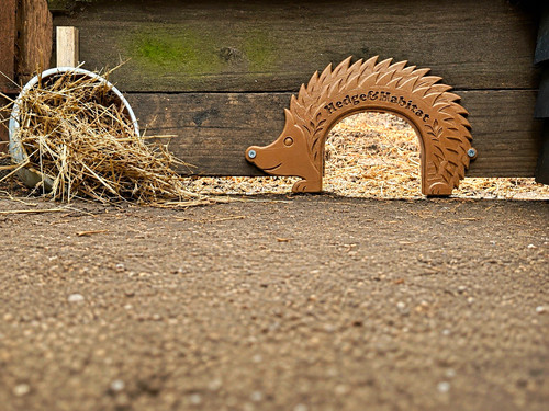 Brown hedgehog highway - highway, arch
