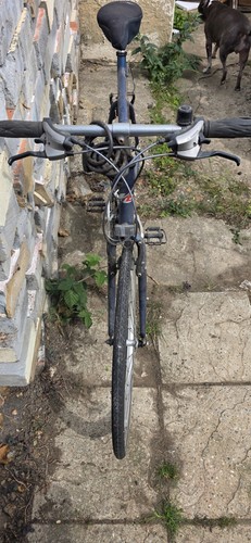Ridgeback velocity 700c - ridgeback,