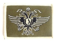 QDG TRF DZ HAT/HELMET BADGE /
