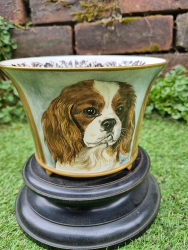 Royal worcester artist - royal,