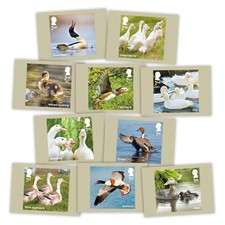 PHQ Postcards 2025 Set 551 -