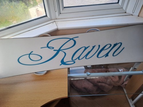 Raven snow board and - snow,