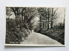 New Way Lane, Hurstpierpoint, Sussex, Real Photo Postcard 1960s