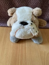 PMS brown and white bulldog