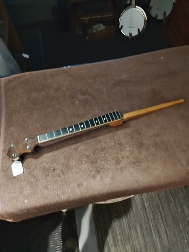 Vintage 1920s vega - 1920s, banjo