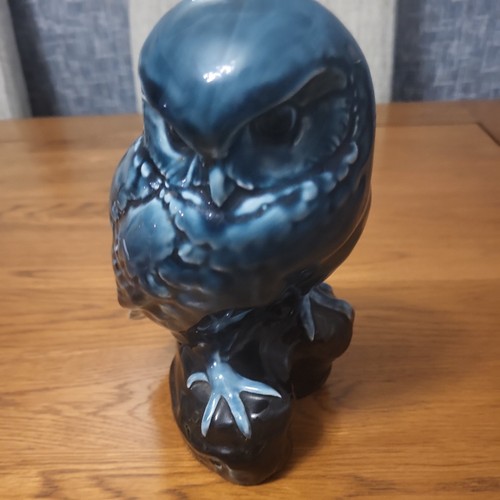 Poole pottery owl - pottery, glossy
