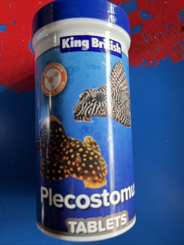 King british pleco bottom - king,