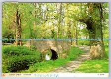 D316329 Cheney Street. Eastcote. Judges of Hastings. PM Aberdeen. 1980