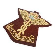 RAF Medical Royal Air Force
