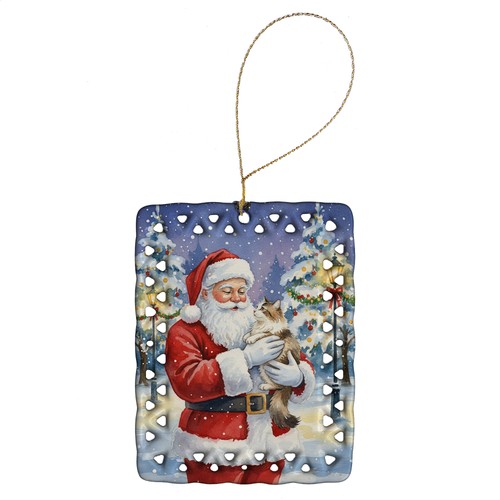 Cymric cat with santa - with, claus