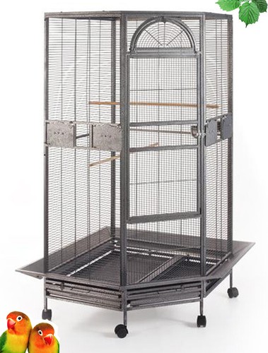 Large corner flight bird - corner,
