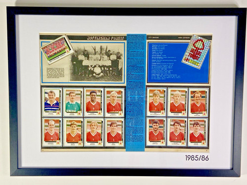 Framed nottingham forest - forest, 1986