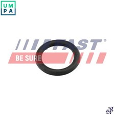 GASKET INTAKE MANIFOLD FT49419