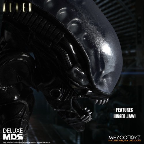 Alien xenomorph and - xenomorph, facehugger