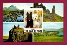 150 postcard isle - 13/150/03, of