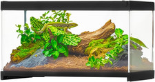 Glass Terrarium Tank