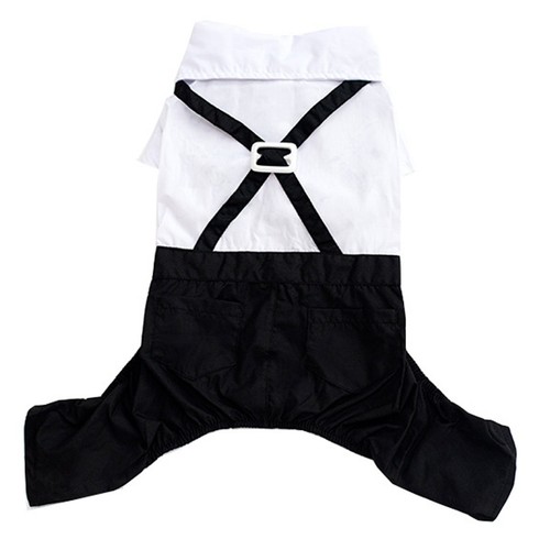 Pet formal wear - pet,