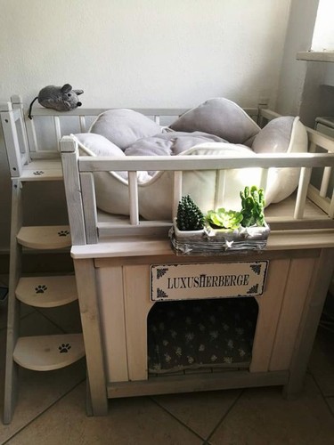Outdoor cat dog den house - outdoor, pet
