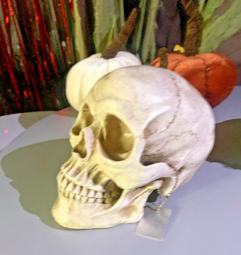 Realistic human skull - realistic, replica