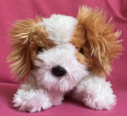 Keel cuddle puppies - keel, king