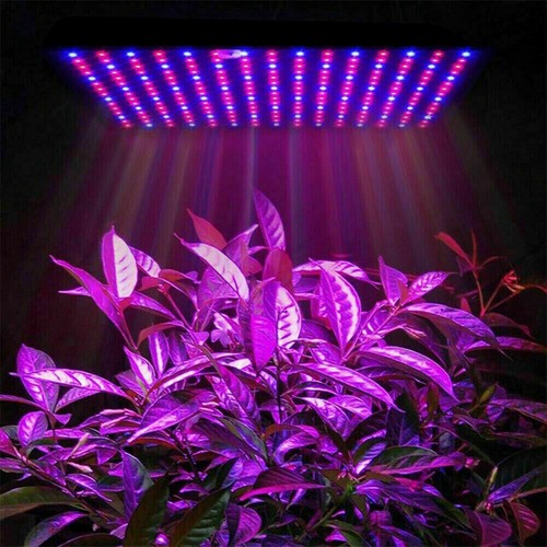 1000w led grow light for - 1000w,