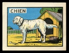 MAREMMA ABRUZZESE ITALIAN