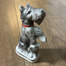 Scottish Terrier Scotty Mother