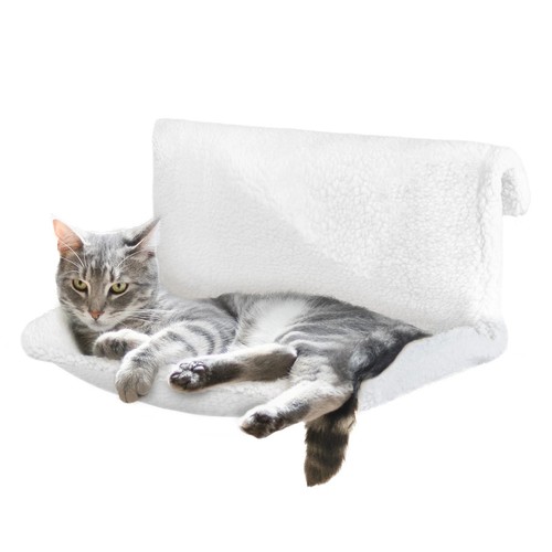 Cat kitten hanging - cat,