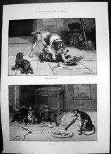 Antique Old Print Robbery Violence Petty Larceny Dog Monkey Bones Dadd 1884