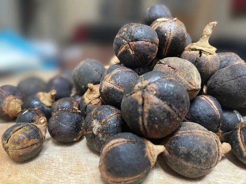 Gorontula fruit azanza - gorontula,
