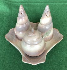Carlton Ware Seashells Cruet