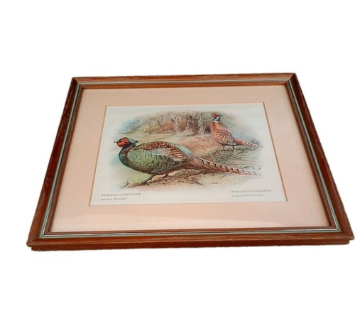 Vintage framed print - framed, japanese
