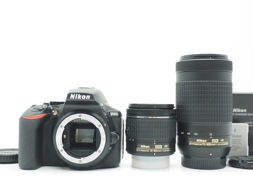 Nikon d5600 mp - 24.2,