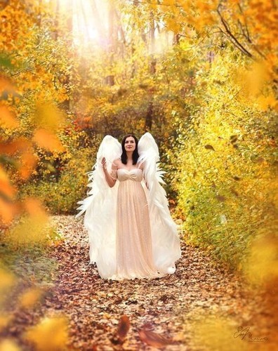 Angel wings large costume - large,